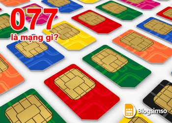 Đầu số 077 là của mạng gì? Ý nghĩa thế nào?