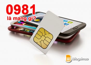 Tìm hiểu đầu số 0981 là của mạng gì, có ý nghĩ phong thủy nào?