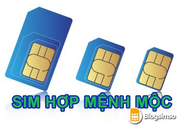 Chọn sim phong thủy hợp mệnh mộc