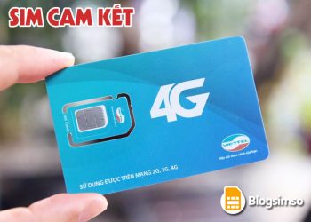 Sim cam kết