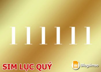 Thế nào là sim lục quý số đẹp? Cách mua sim lục quý tài lộc hợp mệnh