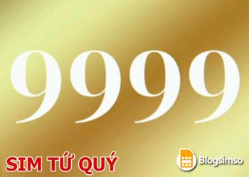 Ý nghĩa các dòng sim tứ quý? Cách chọn sim tứ quý số đẹp?