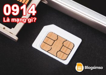 Đầu số 0914 là mạng gì? Có ý nghĩa ra sao?
