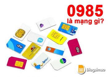 Đầu số 0985 là mạng gì? Giá sim số đẹp đầu 0985 thế nào?