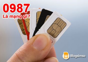0987 là mạng gì? Ý nghĩa bất ngờ của đầu số 0987